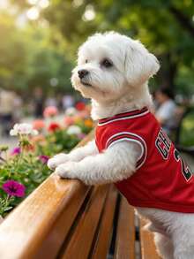 Pet Chicago #23 篮球球衣 蓝色 - 藍色 - 查看 5