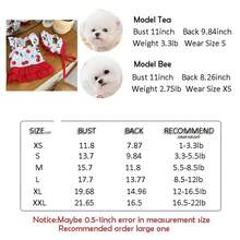 Cherry Stylish Swimsuit Costume For Small Medium Dogs, Dress+Sun Hat, Puppy Bathing Suit, Soft Outfit Pet Apparel For Beach, Pool And Summer Fun - Red - View 4