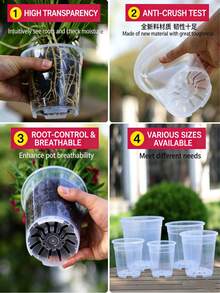 6pcs Transparent Orchid Pots, Clear Planting Pots For Phalaenopsis, Bonsai, Succulents - Multicolor - View 7