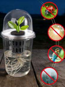 10pcs/2sets - Hydroponic Seedling Pots, Transparent Cylindrical Plastic Seedling Pots - Hydroponic Planting Set, Highly Transparent Hydroponic Cups, Transparent Design For Easy Root Growth Observation, Perforated Design To Promote Aeration And Prevent Root Suffocation, Suitable For Hydroponic Plant Propagation, Can Be Used As Office, Home Or Garden Decorations - A - View 7