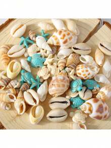 Conjunto de 30 pingentes sortidos de conchas naturais (estilo aleatório) para confecção de bijuterias DIY, incluindo pingentes de conchas, estrelas-do-mar e tartarugas, com furos para pulseiras, colares, brincos, tornozeleiras e acessórios. - Tamanho Único - Ver 1