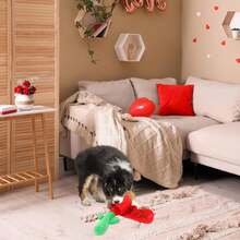 玫瑰花狗狗益智玩具，情人节毛绒狗狗玩具，带沙沙作响的垫子，填充玫瑰花狗狗玩具，适合小型、中型和大型犬 - 彩色 - 查看 5