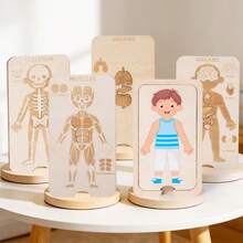Children Montessori Educational Wooden Boys Girls Body Structure Human Body Puzzle - Clear - View 4