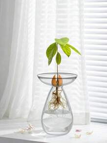 Haus Hana 7.5英寸牛油果造型玻璃花瓶，大型牛油果种植盆，玻璃材质，可用作牛油果种子发芽和生长花瓶、室内牛油果种植盆、牛油果种植套装、园艺爱好者礼物、生日毕业礼物、家居装饰、房间装饰花瓶、玻璃花瓶 - 無色 - 查看 13