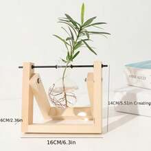 Creative Hydroponic Plant Transparent Wooden Frame Vase Desktop Small Fresh Container Living Room Office Desk Modern Decoration Ornament, Ornament Green Ivy Creative - Multicolor - View 5