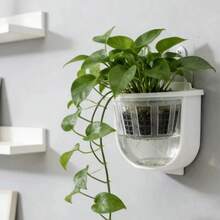 水培种植篮，带防漏膜，透明育苗杯，适用于花盆、玻璃花瓶、绿萝卜等无土栽培植物 - 籃子 - 查看 5