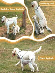 2 Dogs Leash Heavy Duty Stainless Steel Double Dog Coupler Twin Lead 2 Way For Two Pet Dogs Walking Leash Large Dog Safety Chain - Multicolor - View 4