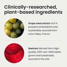 Beet Root Heart Support Chews – Nitric Oxide Booster With Grape Seed Extract & Plant Antioxidants | Pomegranate Berry Flavor | Daily Wellness Chew Supplement | 60 Chews (Pack Of 2) - Pack of 3 - 查看 2