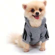 Áo khoác có mũ cho thú cưng, phù hợp cho chó và mèo nhỏ, vừa và lớn. - Xanh đậm - Xem 4