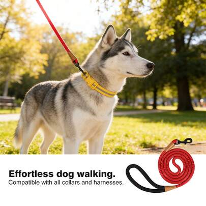 Durable Dog Leash, Escape-Proof, Anti-Biting, Anti-Pull For Walking Dogs Outdoors