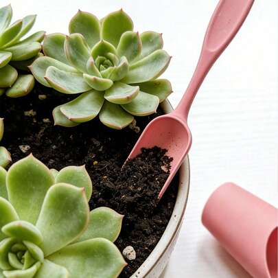 4件套迷你园艺工具套装 - 塑料移植铲、园艺铲，适用于盆栽植物，圆柱形多肉植物土壤铲，非常适合种植多肉植物、园艺和户外活动 - 小巧轻便，易于使用，花卉蔬菜土壤耕作铲、塑料多肉植物土壤铲、带刻度的手持式土壤铲、塑料盆栽植物土壤铲、园艺挖掘工具、园艺用品