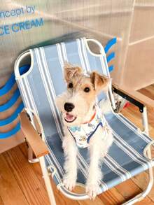 Dog Shirt, Soft Cute Dino Print Dogs T Shirts, Lightweight Doggie Tank Top Cat Clothes, Sleeveless Dog Shirt For Small Dogs, Stretchy Pet Vest - Multicolor - View 12