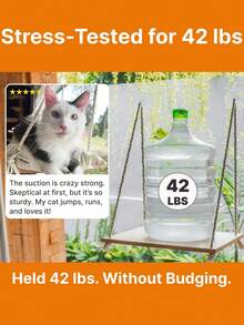 Cat Window Perch With Industrial-Grade Suction Cups - Solid Pine Wood Hammock Bed, Soft Cushion - 42 Lb Capacity For Cats Inside - Upgraded Beech Wood Reinforced 1pc - One Size Fits All - View 4