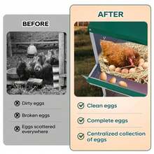 Egg Handling Supplies - 綠色6格隔間-帶支架 - 查看 5