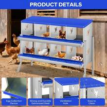 Egg Handling Supplies - Blue 8-compartment Compartment - With Support Frame - View 7