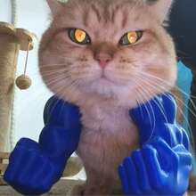 3D Printed Funny Pet Supplies, Neck Muscle Arm, Cat Dog Brush, Cat Clothes, Cat Games, Free Cat Gifts, Cat Toy Gifts, Bird Cage, Cat Clothes, Birds, Cat House, Cat Supplies, Aquarium, Gifts For Cats - Multicolor - View 4