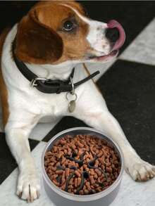 Khay ăn chậm cho chó, khay ăn chậm dạng ghép hình với 51 giác hút hình bạch tuộc, phù hợp với bát ăn cho chó cỡ trung bình và lớn có đường kính trên 6,5 inch (Màu đen) - màu đen - Xem 5