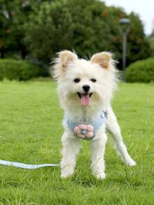 1,2 m Ensemble de laisse réglable pour chien de compagnie, convient aux petits chiens comme le bouledogue français, le chihuahua pour la promenade en extérieur - Bleu azur - Voir 6