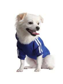 Áo khoác có mũ cho thú cưng, phù hợp cho chó và mèo nhỏ, vừa và lớn. - Xanh đậm - Xem 17