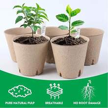 50pcs Seedling Pots, Plant Starter Cups With Drainage Holes, Garden Sprouting Nursery Pots, Suitable For Herbs, Vegetables, Plants - Multicolor - View 8