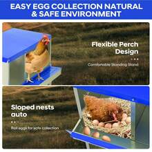 Egg Handling Supplies - 藍色6格隔間-附支架 - 查看 4