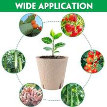 50pcs Seedling Pots, Plant Starter Cups With Drainage Holes, Garden Sprouting Nursery Pots, Suitable For Herbs, Vegetables, Plants - Multicolor - View 7