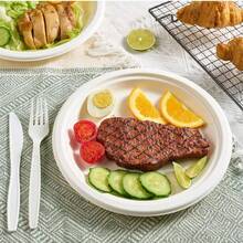 10/50/100个装一次性纸盘，派对餐盘，户外烧烤纸盘，加厚纸浆餐盘，方便免洗餐具 - 多色 - 查看 7