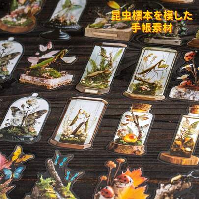 10 miếng dán PET chủ đề côn trùng cổ điển, thích hợp để trang trí sổ lưu niệm, sổ tay, khung ảnh, hộp bút, ốp điện thoại, bình nước, tạp chí, hành lý, bàn làm việc và nhiều hơn nữa.