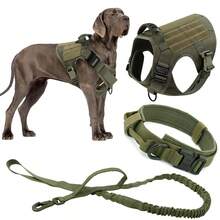 狗狗胸背带项圈牵引绳套装,适合小型、中型和大型犬种 - 耐用尼龙面料搭配结实金属扣 - 彩色 - 查看 2