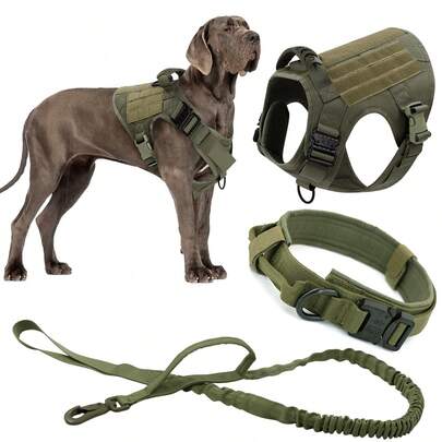 狗狗胸背带项圈牵引绳套装，适合小型、中型和大型犬种 - 耐用尼龙面料搭配结实金属扣