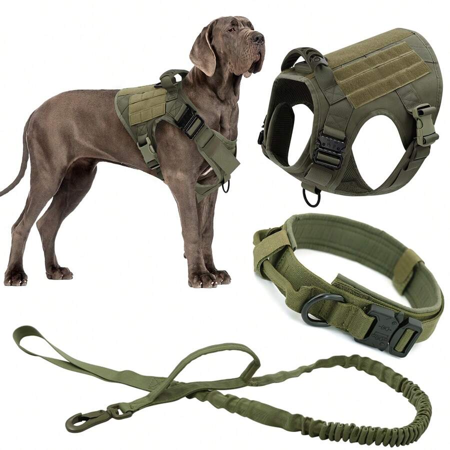 狗狗胸背带项圈牵引绳套装，适合小型、中型和大型犬种 - 耐用尼龙面料搭配结实金属扣