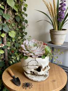 1个独一无二的骷髅头花盆——用这款别致的骷髅头花盆升级您的室内花园或桌面摆设！非常适合种植多肉植物、香草或小型花卉，可完美融入您的卧室床头柜、办公桌或阳台搁架。其引人注目的设计让任何角落都成为话题焦点，将暗黑风格与实用园艺功能完美融合。让您的花盆脱颖而出，提升家居氛围。 - A - 查看 5