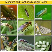 Mouse Catcher(No Mousetrap) & Insect Trap & Insect Killer - A - Xem 2