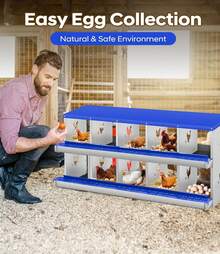 Egg Handling Supplies - Blue 10-compartment - View 4
