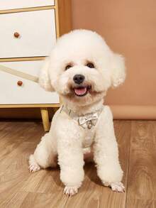 Adjustable & Escape-Proof Pet Leash And Harness Set, Suitable For Cats/Dogs, For Outdoor Walking - Multicolor - View 6