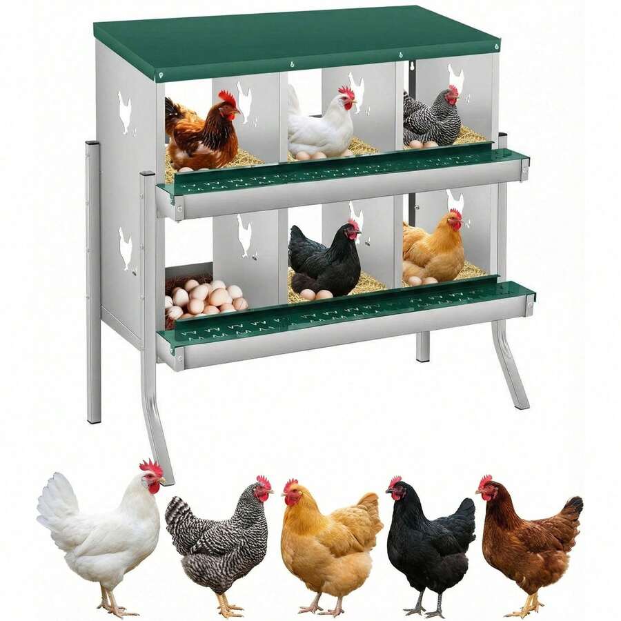 Egg Handling Supplies - 綠色6格隔間-帶支架 - 查看 1
