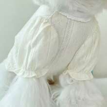 1pc Pet Dog/Cat Shirt, Suitable For Teddy, Poodle, Bichon Frise, Schnauzer, Autumn/Winter - Pink - View 9