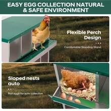 Egg Handling Supplies - Green 10-compartment Cubicle - With Support Frame - View 4