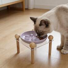 1pc Pet Ceramic Raised Bowl With Acrylic Stand, Anti-Spill Sturdy Base, High-Temperature Fired Ceramic, Easy To Clean, For Cats And Dogs - 150ml - View 3