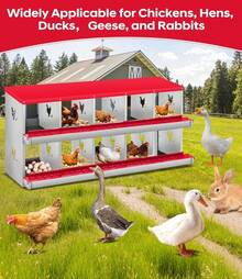 Egg Handling Supplies - Red 10-compartment - View 4