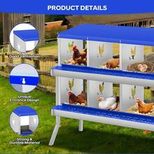 Egg Handling Supplies - Blue 10-compartment Booth - With Support Frame - View 6