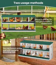 Egg Handling Supplies - Green 10-compartment - View 4