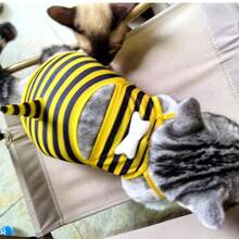 Bộ đồ hóa trang ong dễ thương cho chó cưng, đồ bơi cho chó nhỏ, bộ đồ bơi thoải mái và có thể điều chỉnh cho cún con, trang phục mềm mại cho thú cưng đi biển, hồ bơi. - màu đen - Xem 6