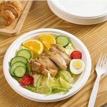 10/50/100个装一次性纸盘，派对餐盘，户外烧烤纸盘，加厚纸浆餐盘，方便免洗餐具 - 多色 - 查看 4