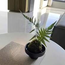 现代简约苔藓球种植套装 - 哑光陶瓷质感花盆，适用于水培（无排水孔），非常适合种植竹子、水稻、香蒲和菖蒲，轻质树脂材质，可用作桌面干果坚果容器或绿植种植盆，室内/室外家居装饰，适用于客厅、卧室、办公室，也可作为室内花园礼物赠送朋友。 - 陶瓷 - 查看 11