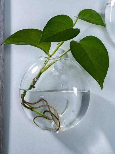 1/2/3/6/8/10/20/30个装 悬挂式玻璃壁挂花瓶，透明水培花瓶，简约现代家居装饰，客厅阳台壁挂式花盆，适用于绿植、植物、插花