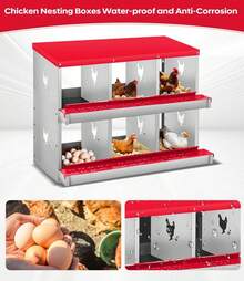 Egg Handling Supplies - 紅色6格隔間 - 查看 5