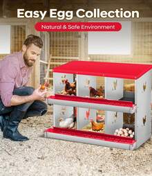 Egg Handling Supplies - 紅色6格隔間 - 查看 7