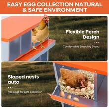 Caja de anidación pollo, caja de anidación metal de, cajas de anidación pollo para colocar huevos, colección fácil de huevos. - Compartimento naranja de 8 compartimentos - con marco de soporte - Ver 3