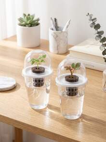 20pcs/4sets - Hydroponic Planting Pots, Transparent Cylindrical Plastic Planting Pots - Hydroponic Planting Set, High Transparency Hydroponic Cups, Transparent For Easy Root Observation, Perforated Design Promotes Aeration To Prevent Root Suffocation, Suitable For Hydroponic Plant Propagation, Can Be Used As Office, Home Or Garden Decor - Multicolor - View 7